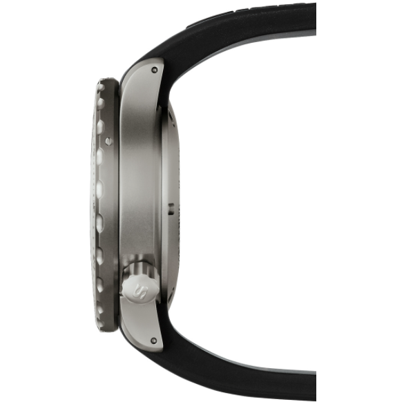 Sinn - U2 Tegimented